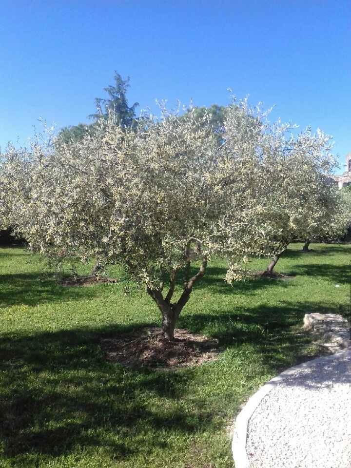 La Clastre Location D'Un Studio Avec Piscine Et Clim Pres D'Uzes Bourdic Exteriör bild